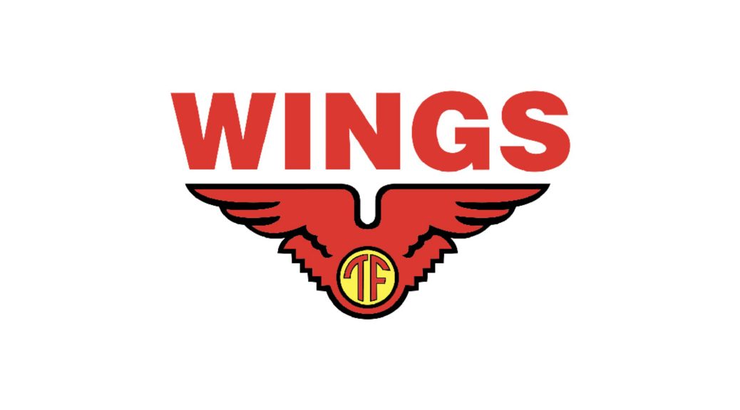 PT Aneka Mitra Gemilang (Wings Group)