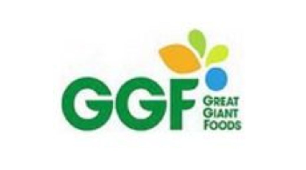 PT Great Giant Pineapple
