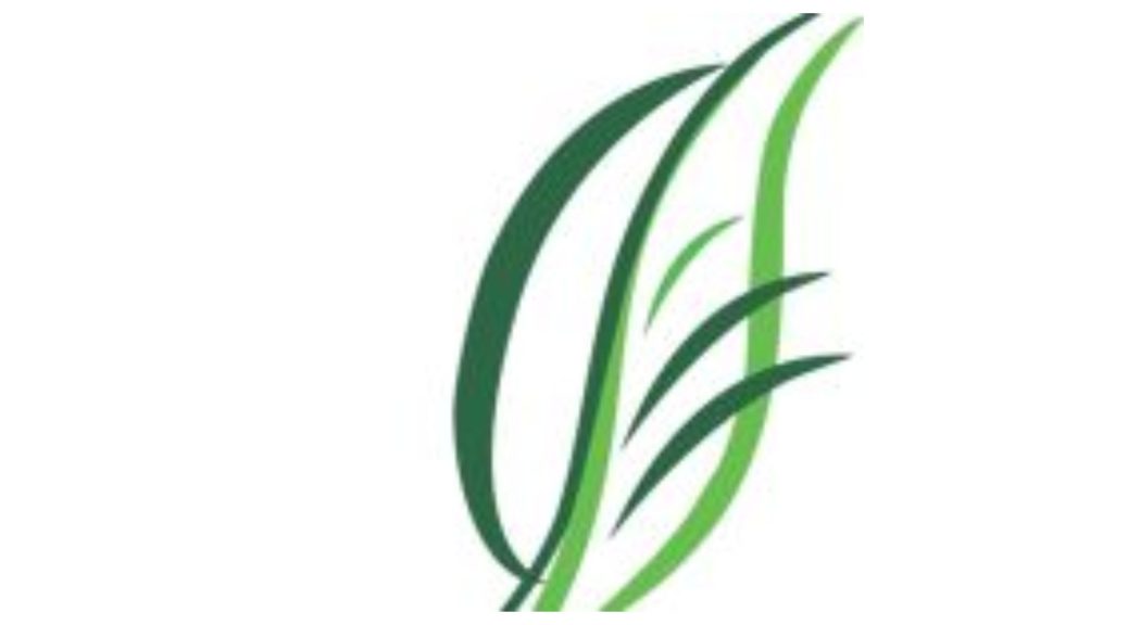 PT Zensei Indonesia